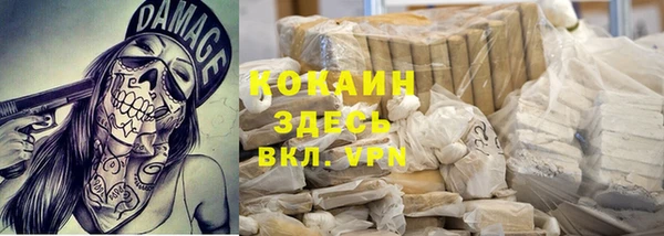 сатива Абинск