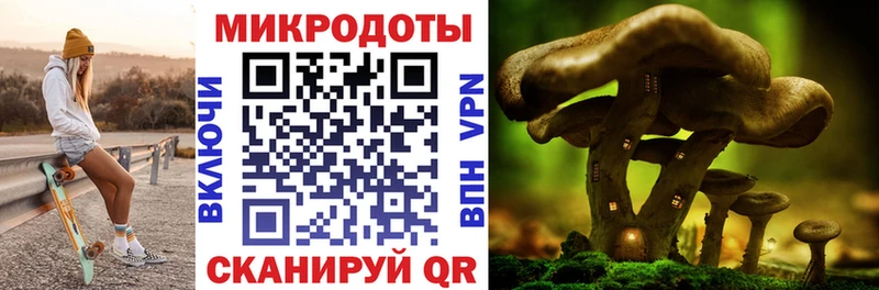 kraken ONION  Ртищево  Псилоцибиновые грибы мухоморы 